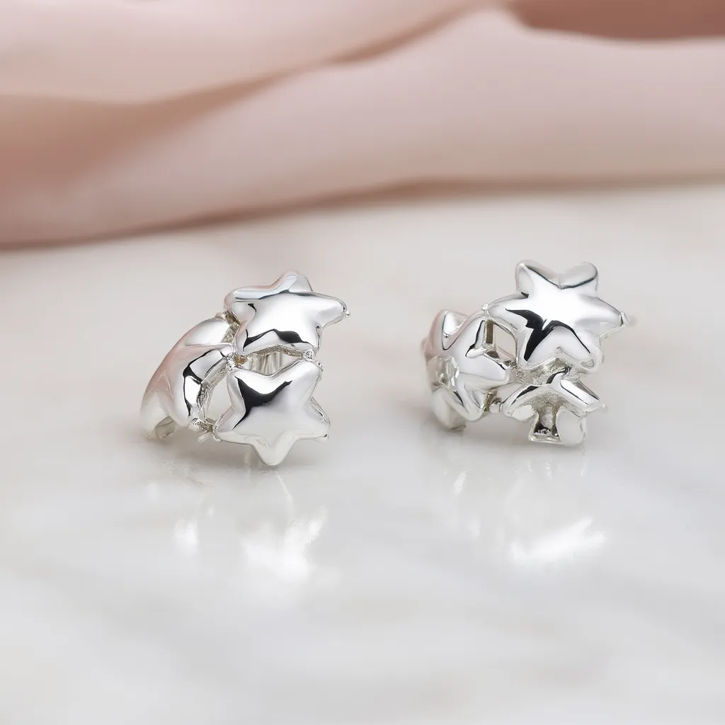 Dazelio Silver Star & Floral Stud Earrings for Women