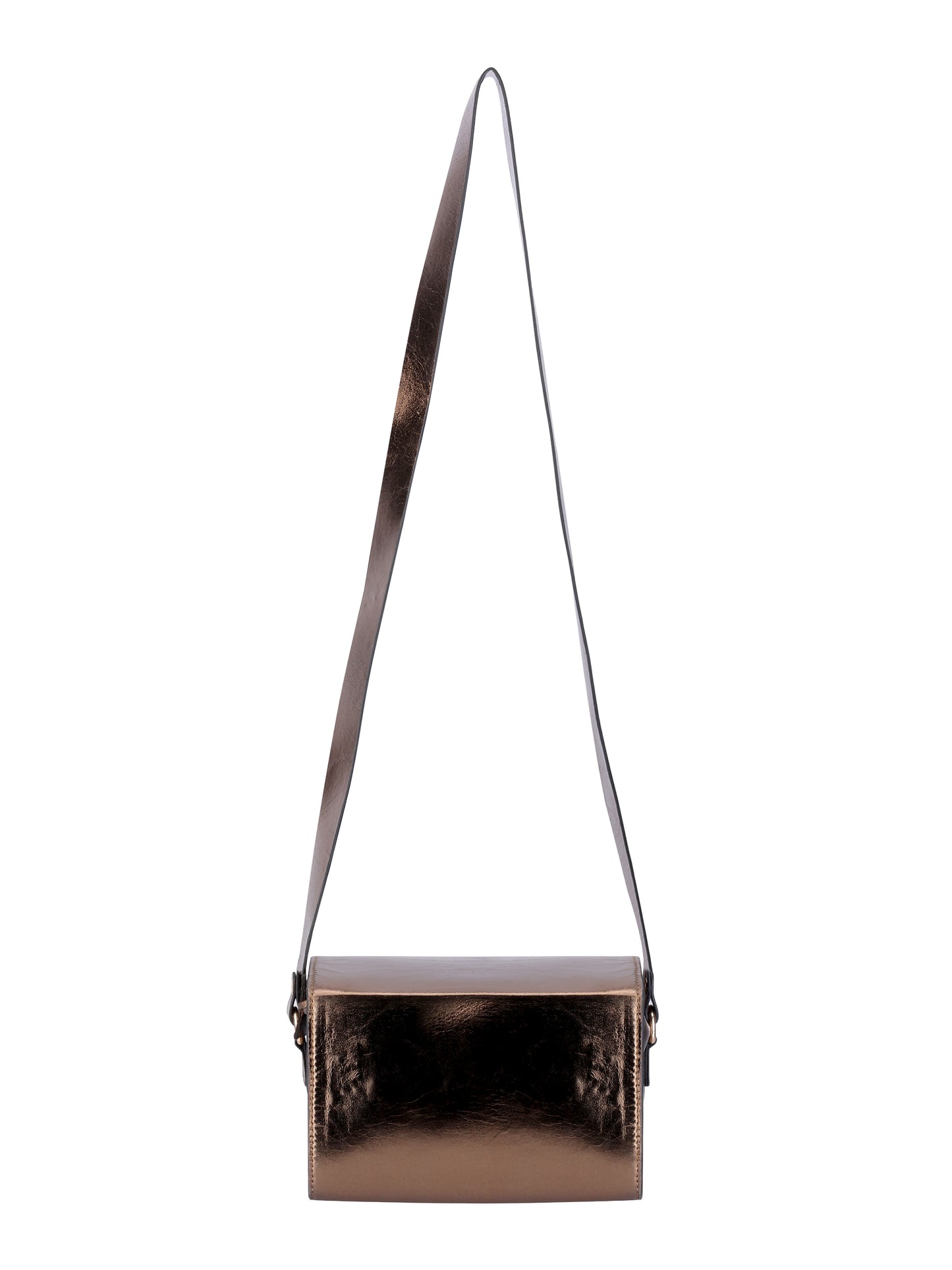 Amica Slexia Women’s Golden Metallic Sling Bag